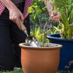 New Release -Garden Master Deals Store 1002024 1