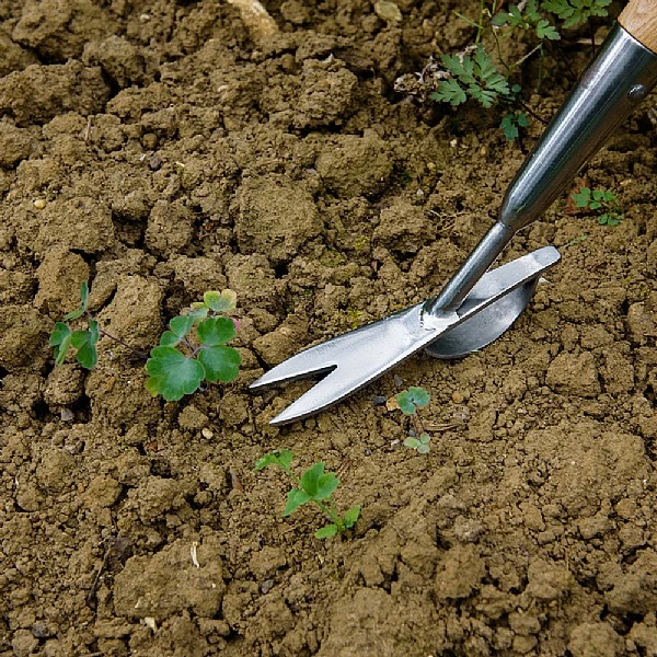 Kent & Stowe Stainless Steel Long Handled Daisy Weeder 2 Kent & Stowe Stainless Steel Long Handled Daisy Weeder - Image 2