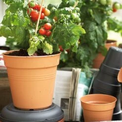 Elho Green Basics 40cm Growpot - Mild Terracotta -Garden Master Deals Store 1024613 1