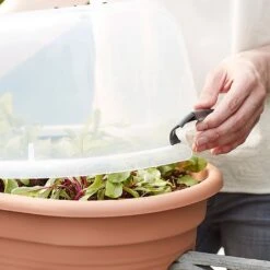 Elho Green Basics Flower Bridge Grow House 55cm -Garden Master Deals Store 1024663 4