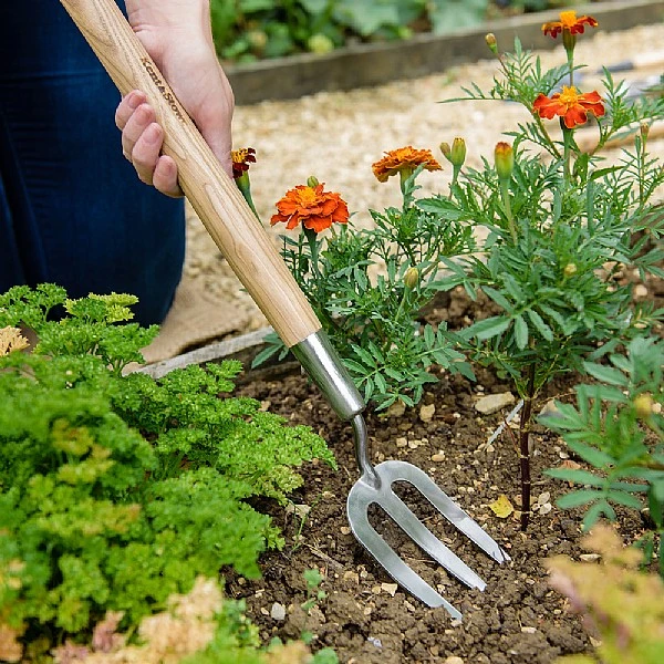 Kent & Stowe Stainless Steel Border Hand Fork 2 Kent & Stowe Stainless Steel Border Hand Fork - Image 2