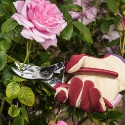 Kent & Stowe Rose Cut & Hold Secateurs -Garden Master Deals Store 1031091 2