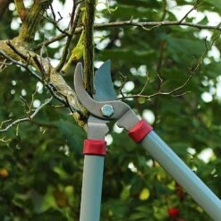 Kent & Stowe General Purpose Loppers -Garden Master Deals Store 1031094 3
