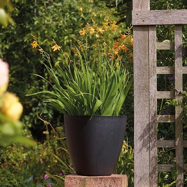 Stewart Garden 40cm Basalt Low Round Planter - Black 1 Stewart Garden 40cm Basalt Low Round Planter - Black