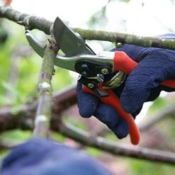 Wilkinson Sword Folding Pruner Saw & Pruner Set 6 Wilkinson Sword Folding Pruner Saw & Pruner Set -Garden Master Deals Store 1140375 2