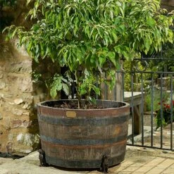 Jardinopia Plant Pot Feet Bronze Labrador - Set Of 3 -Garden Master Deals Store 1177293 3