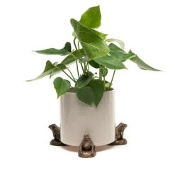 Garden Master Deals Store 23 Jardinopia Plant Pot Feet Bronze Frog - Set Of 3