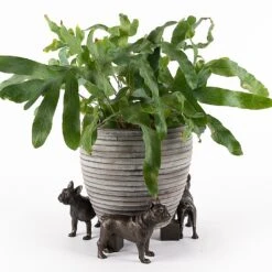 Garden Master Deals Store 27 Jardinopia Plant Pot Feet Bronze French Bulldog