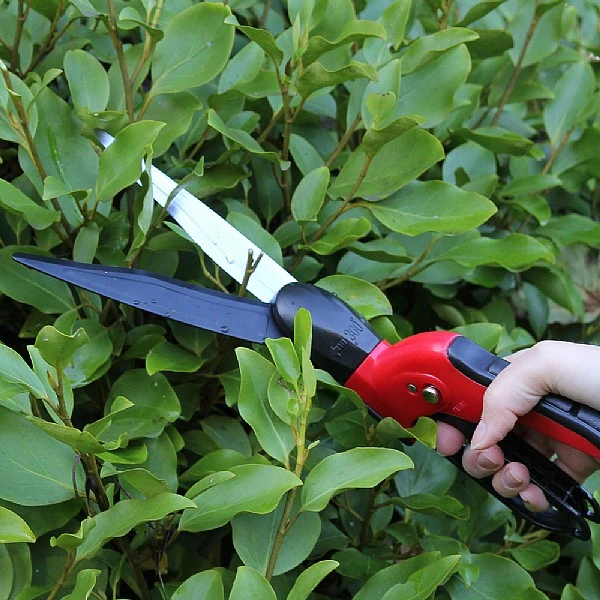 Darlac Swivel Shear 2 Darlac Swivel Shear - Image 2