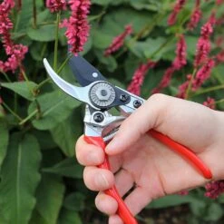 Darlac Small Bypass Pruner -Garden Master Deals Store 1202088 3