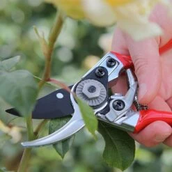 Darlac Small Bypass Pruner -Garden Master Deals Store 1202088 4