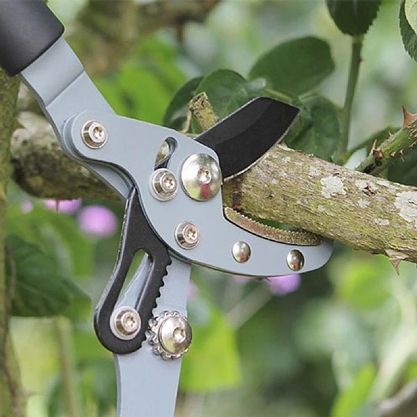 Darlac Telesc Anvil Lopper 2 Darlac Telesc Anvil Lopper - Image 2