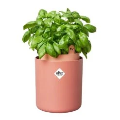Elho Bouncy Basil Herb Pot Toffee Terracotta -Garden Master Deals Store 1230811 3
