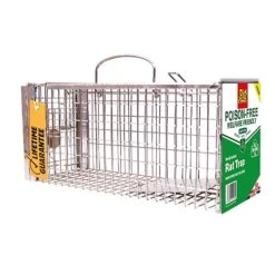 The Big Cheese Ready-Baited Rat Trap