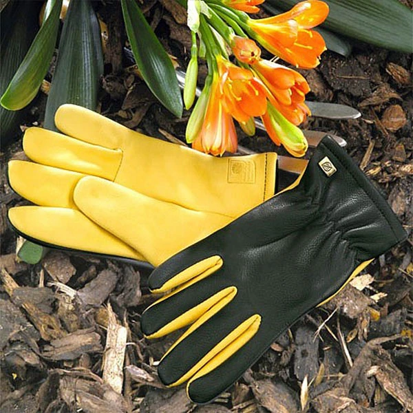 Gold Leaf Gents Dry Touch Gloves 1 Gold Leaf Gents Dry Touch Gloves