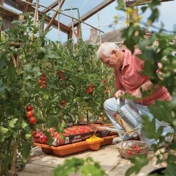 Hozelock Growbag Waterer -Garden Master Deals Store 771491 4