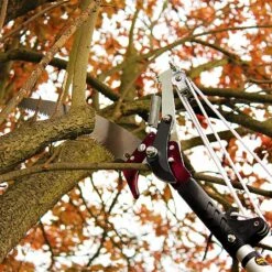 Kent & Stowe Telescopic Tree Lopper -Garden Master Deals Store 910042 1