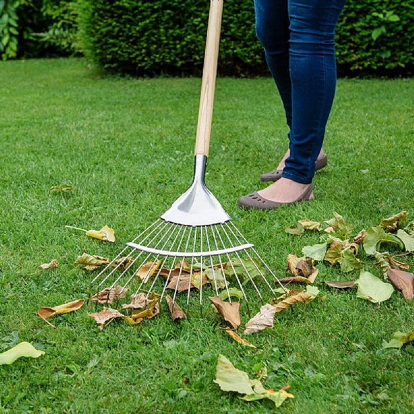 Kent & Stowe Garden Life Stainless Steel Leaf Rake 2 Kent & Stowe Garden Life Stainless Steel Leaf Rake - Image 2