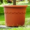 Elho Algarve Cilindro Planter With Wheels 48cm