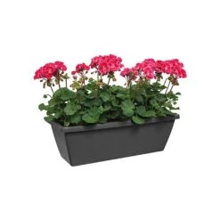 Elho Barcelona 90cm Trough (Various Colours) -Garden Master Deals Store BARCTROUGH90 2