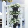 Elho Corsica Vertical Forest 24cm Planters - Set Of 3 (Various Colours)
