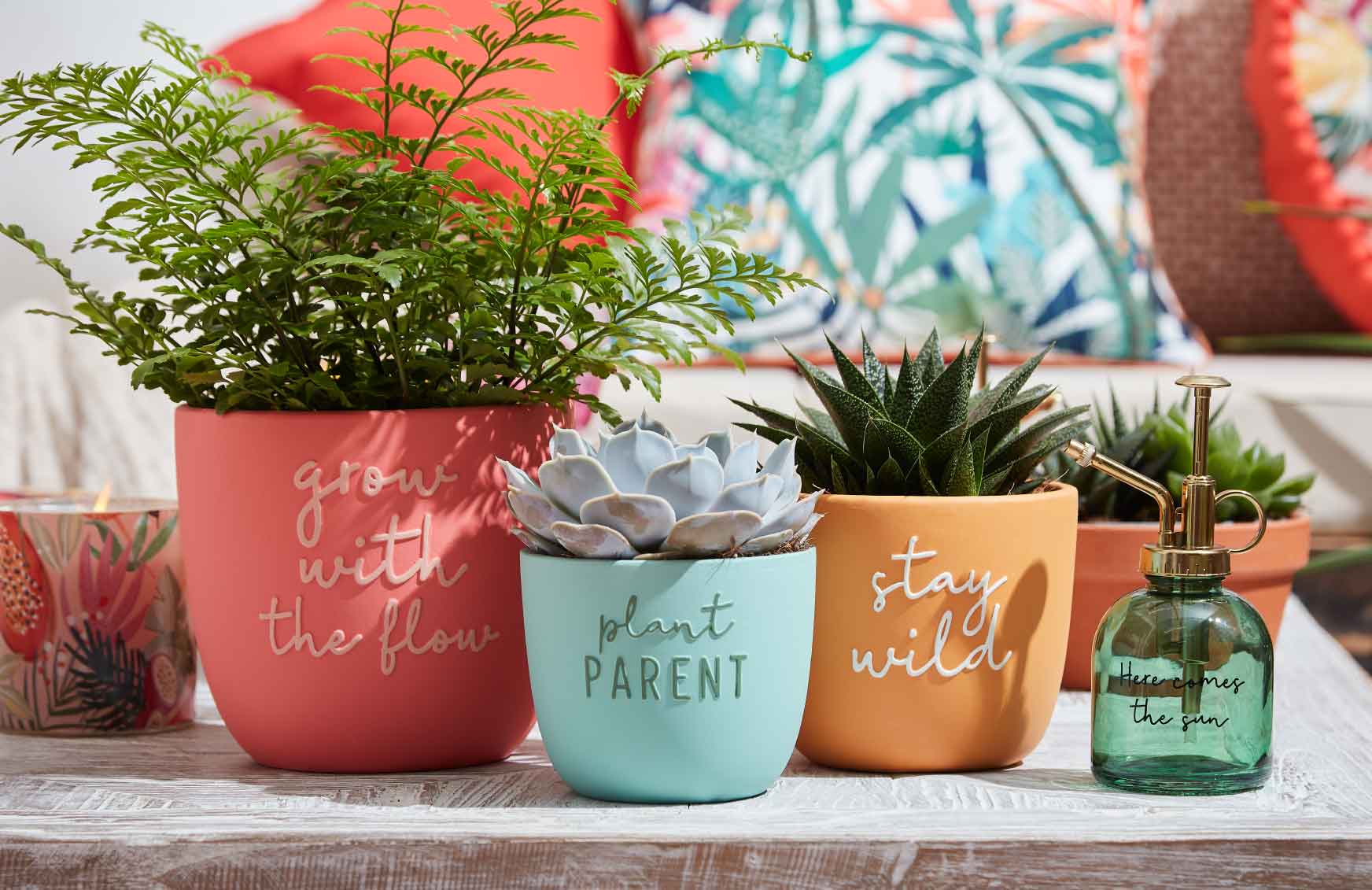 Garden Master Deals Store -Garden Master Deals Store super bloom pots and planters bm